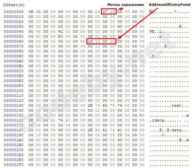 photo_2018-12-05_06-13-48 (2).jpg