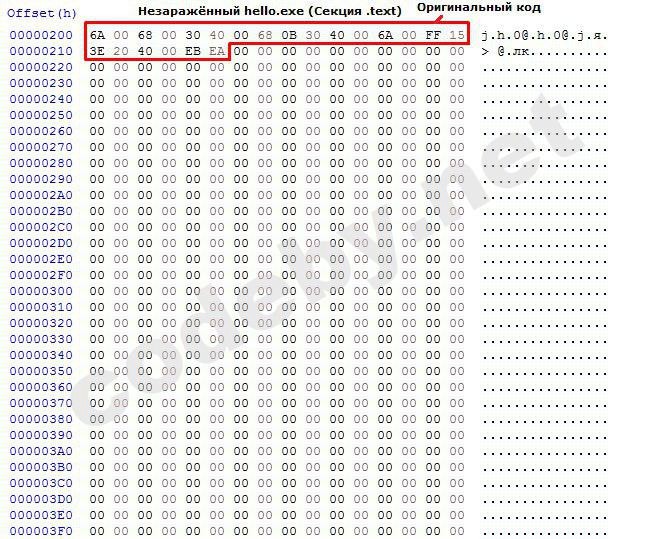 photo_2018-12-05_06-13-50 (2).jpg