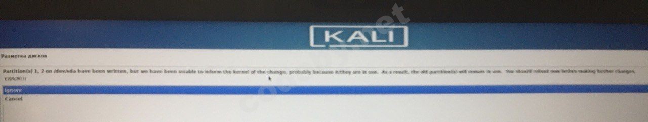 photo_2023-05-11 01.38.55.jpeg