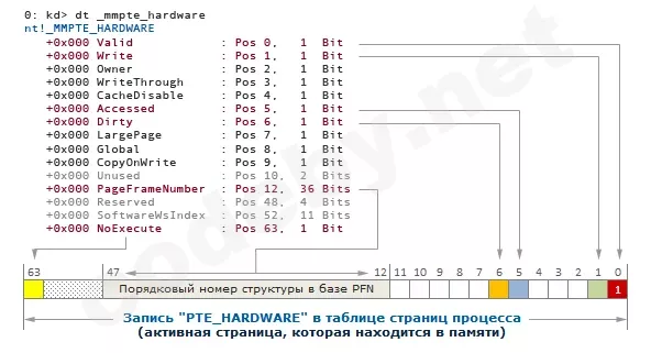PTE_Hard.webp