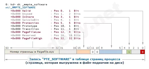 PTE_Soft.webp
