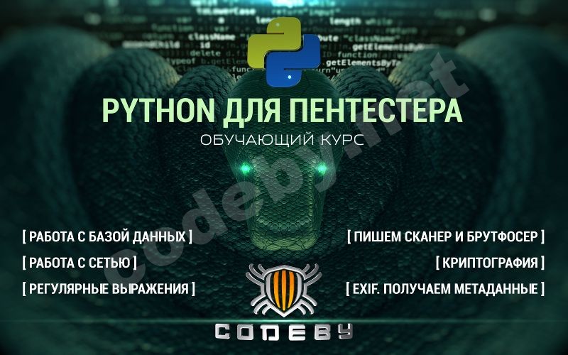 Python 800_500_1.jpg