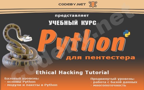 Python_800x500_3.jpg