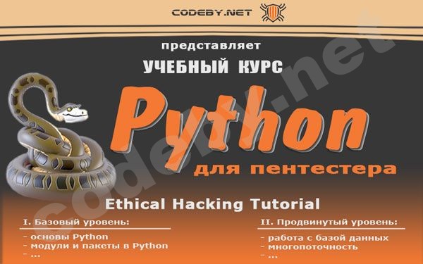 Python_800x500_3.jpg