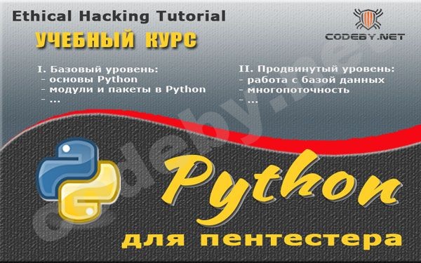 Python_800x500_4.jpg
