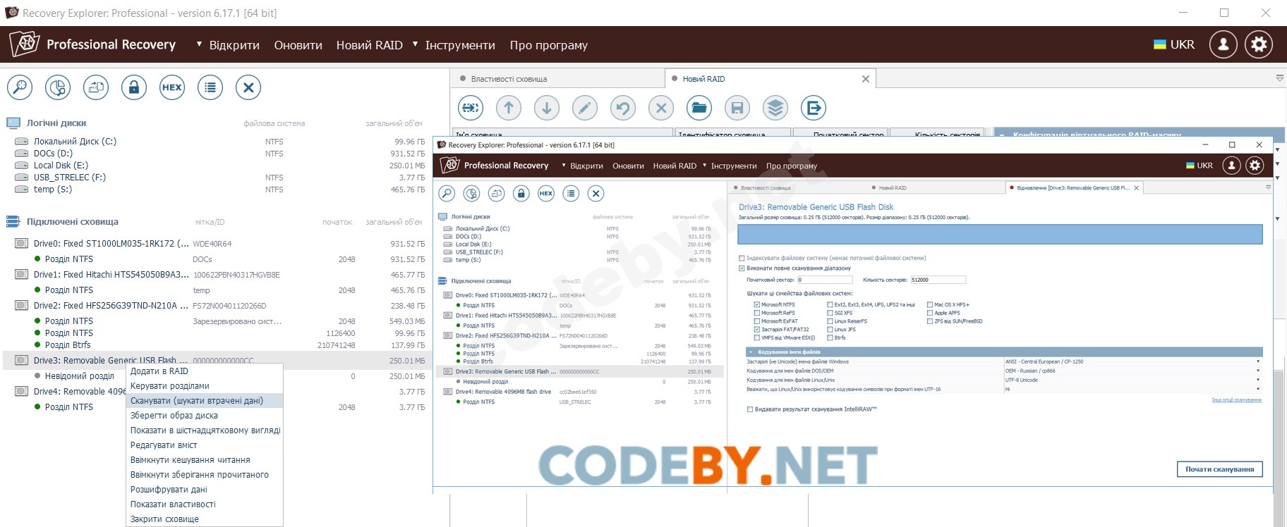 Recovery Explorer Professional-1f.jpg