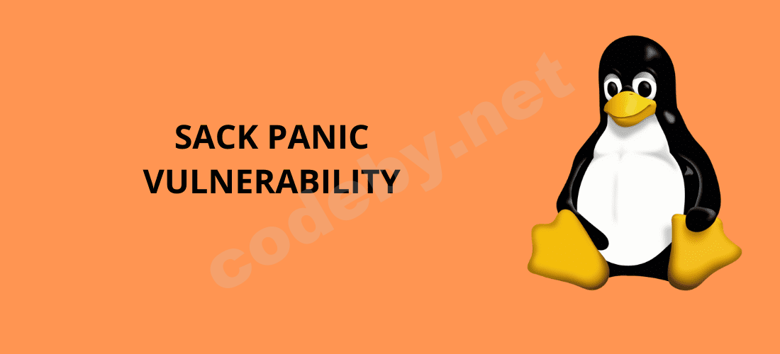 SACK-PANIC-VULNERABILITY-1.png