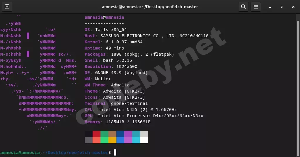 Screenshot from 2025-06-23 11-47-09.webp