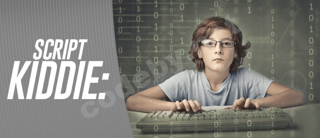 script-kiddie.png