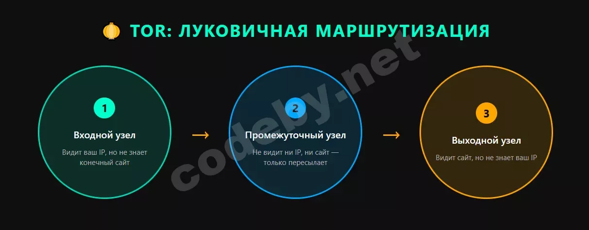 схема2.webp