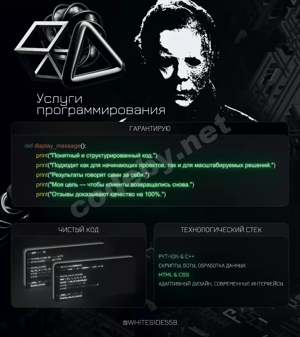Снимок экрана 2024-12-28 124432.webp