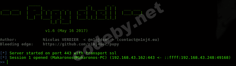 Снимок экрана от 2017-06-13 11-26-30.png