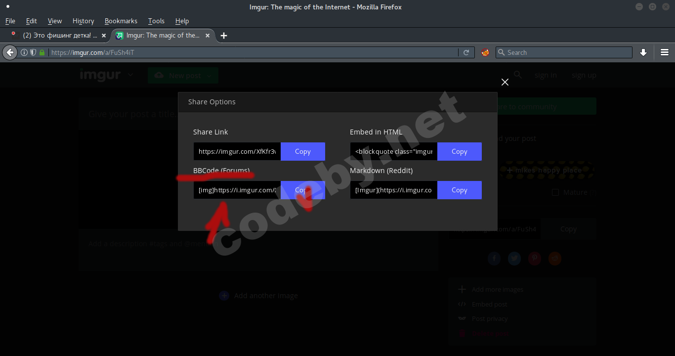 Снимок экрана от 2018-06-20 09-32-19.png