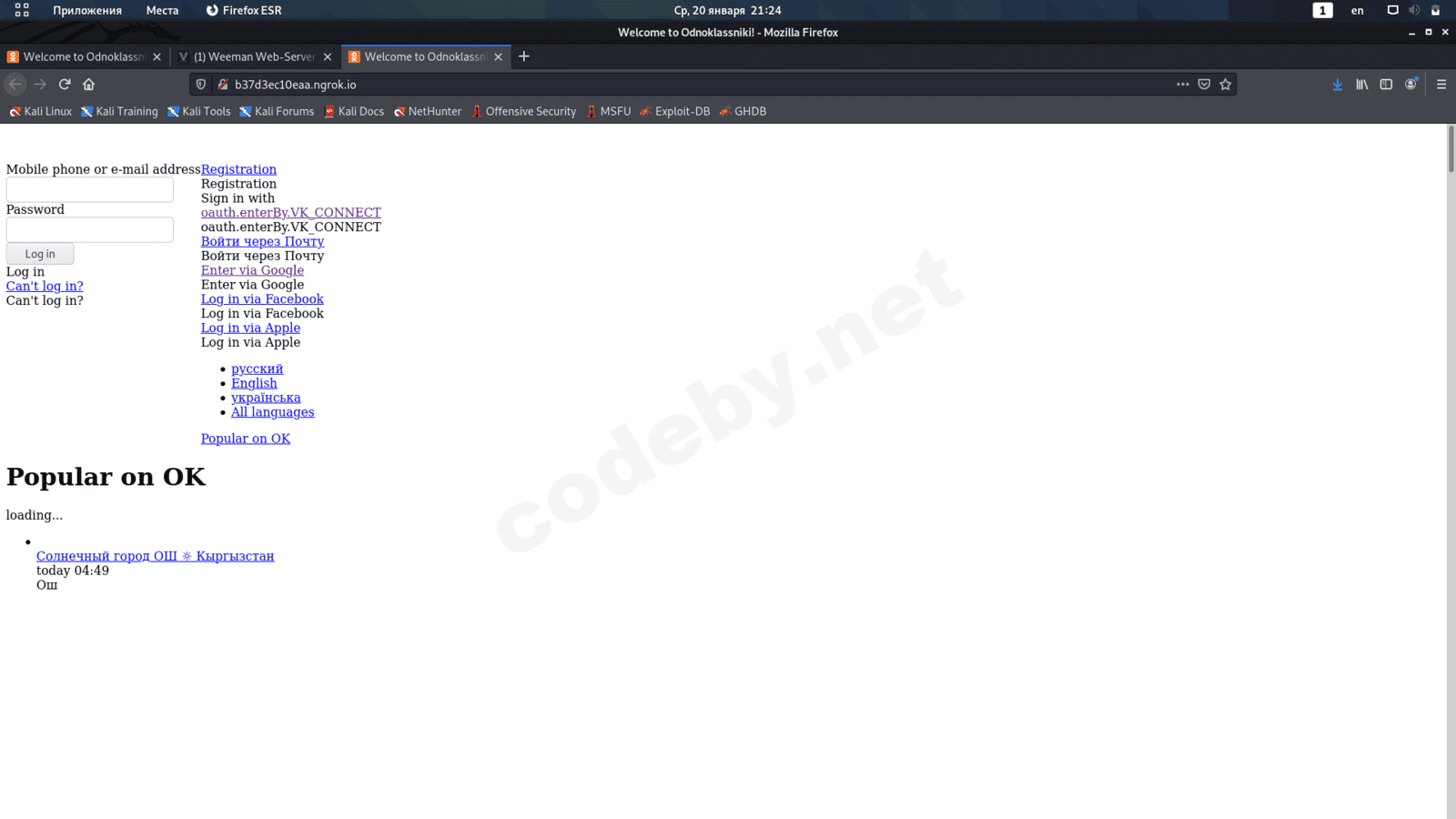 Снимок экрана от 2021-01-20 21-24-54.png