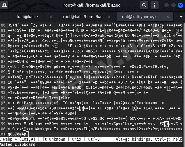 Снимок экрана от 2023-01-26 18-38-33.png