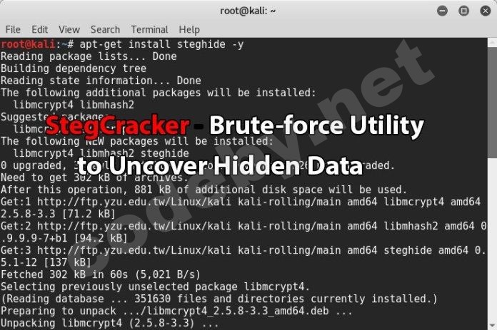 StegCracker - утилита Brute-force для обнаружения скрытых файлов данных.jpg