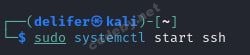 systemctl_start_ssh.jpg