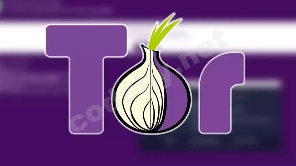 tor.jpg