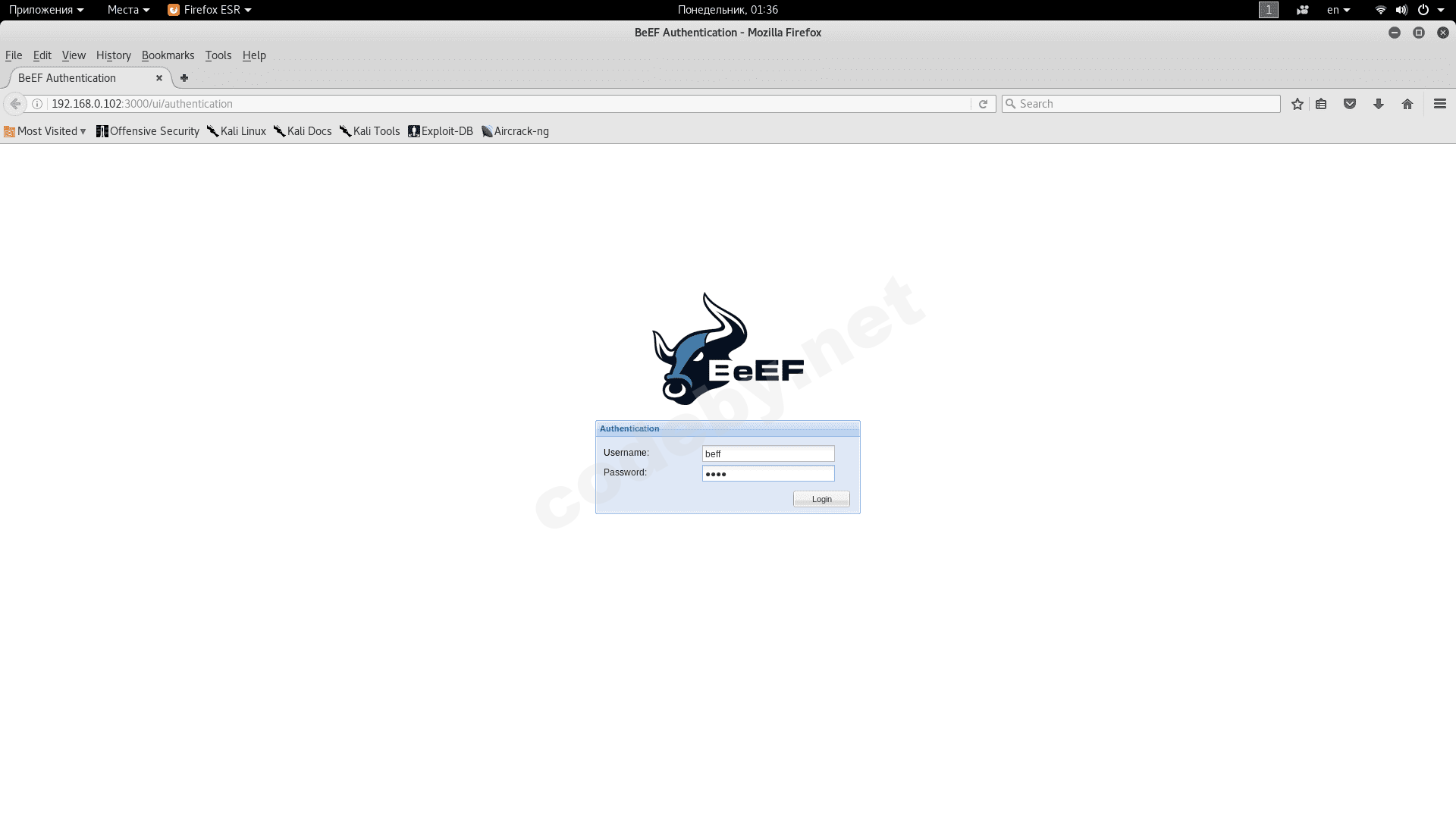 воод пароля beef.png