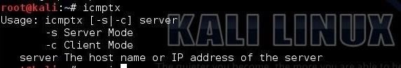 Zapustite-Kali-i-skachajte-Icmptx-02.jpg