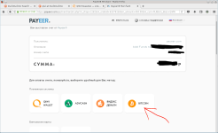 payeer-03.PNG