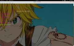 Screenshot from 2018-08-17 16-17-29.png