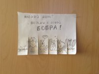 Всем бобра!.JPG