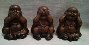 Три хоттея.jpg