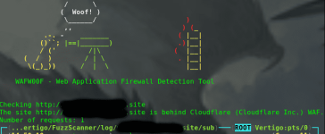 fuzzscanwaf.png