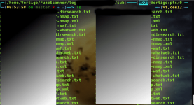 fuzzscan5.png